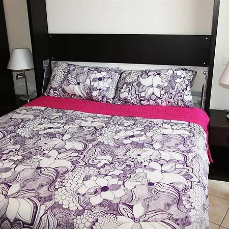 Vaticano84 بيت ضيافة 4*