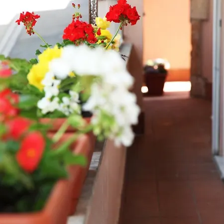 Guest house Vaticano84 Rome